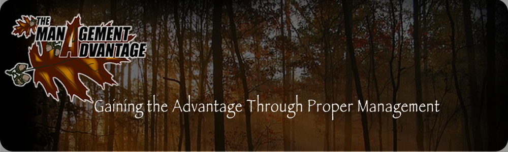 The Management Advantage