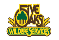 5 Oaks Wildlife Services