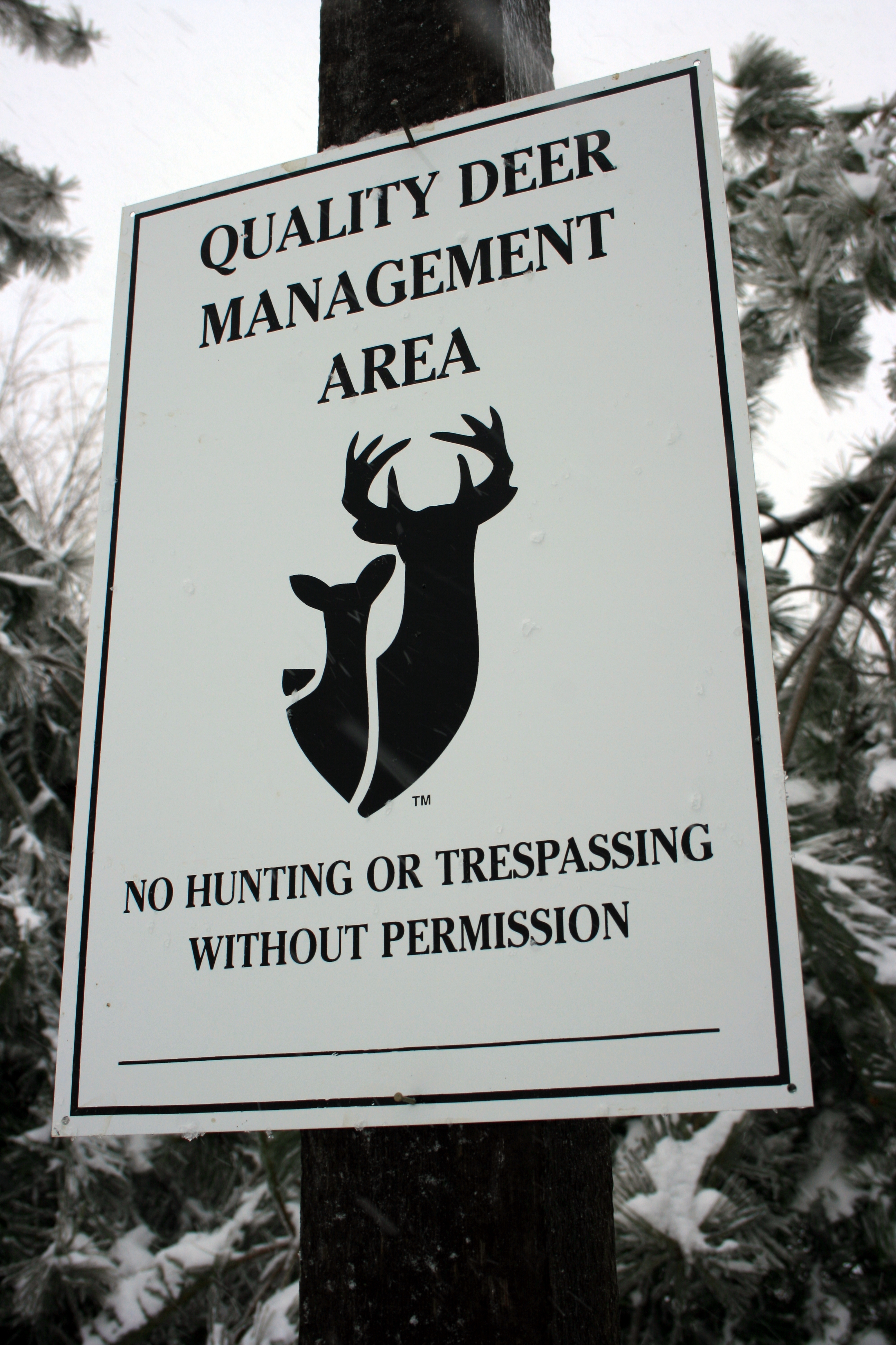 Quality Deer Management