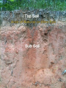 Soil Hardpan Profile