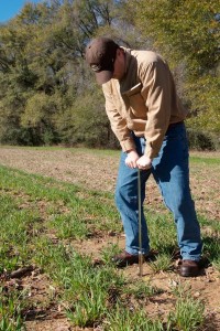 Soil Probe