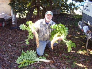 Trophy Radishes for Deer Food Plots