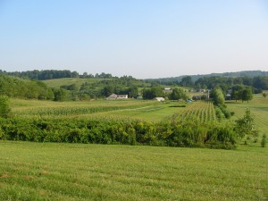 Small acreage deer management