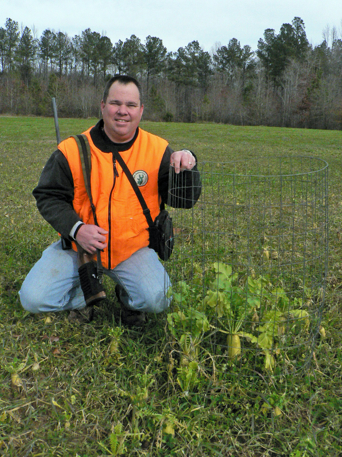 Deer Radishes, It’s All in Their The Management Advantage