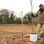 Planting Trees for Wildlife