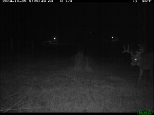 Negative Reaction to a Trail Camera