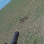 Aerial Hog Hunting