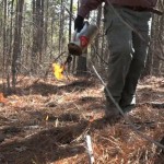 Controlled Burn For Widlife