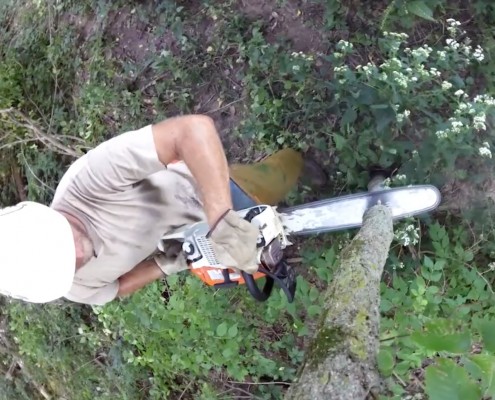 Edge Feathering for Deer