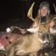 Deer Hunting Indiana