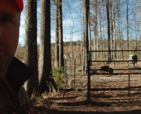 Alabama Hog Trapping