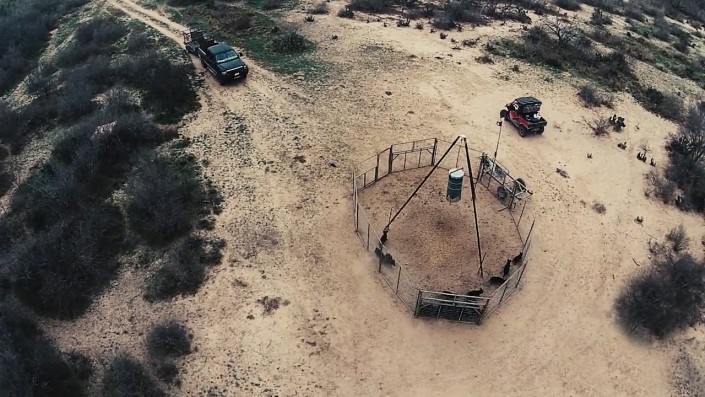 Hog Trapping