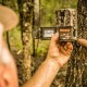 Trail Camera Survey Part 2