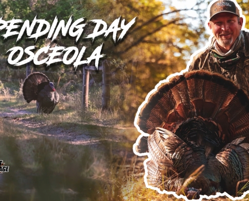 Osceola Turkey Hunting