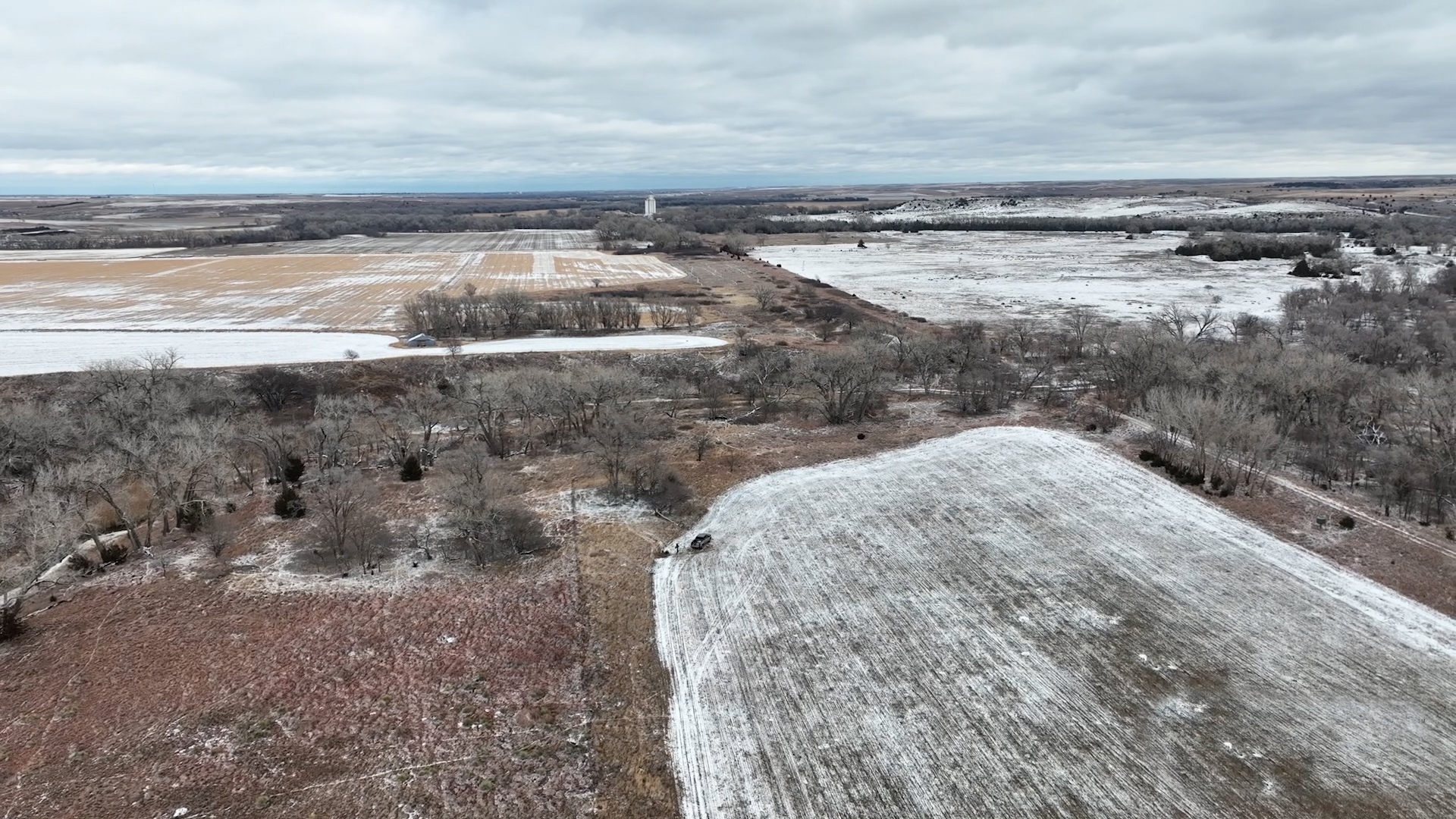 Locations For Coyote Trapping The Management Advantage